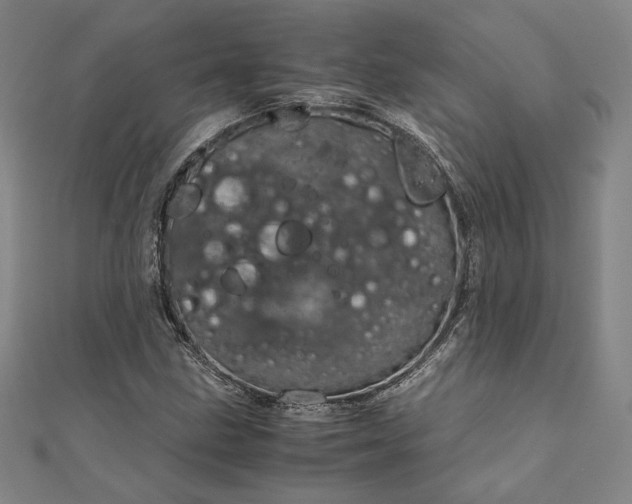 X0000111921211200908031157