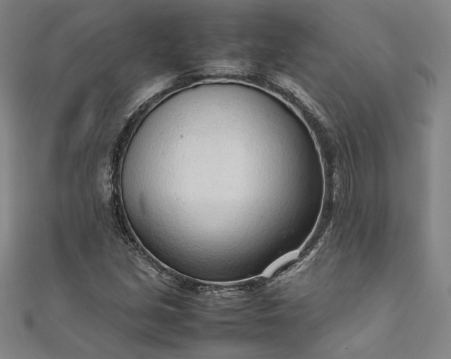 X0000111921213200908031157