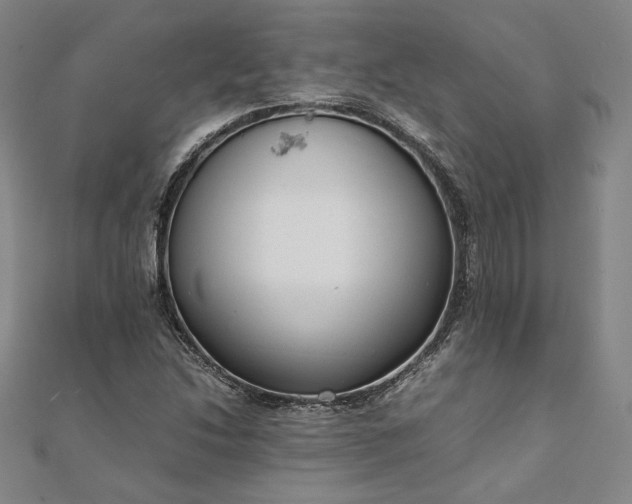 X0000111921214200908031157