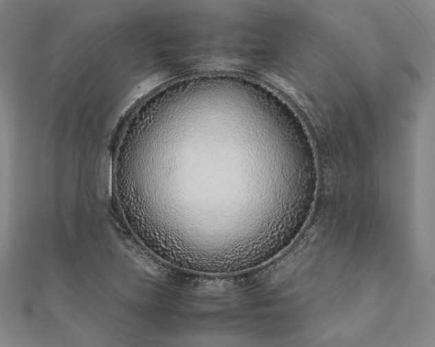X0000111921219200908031157