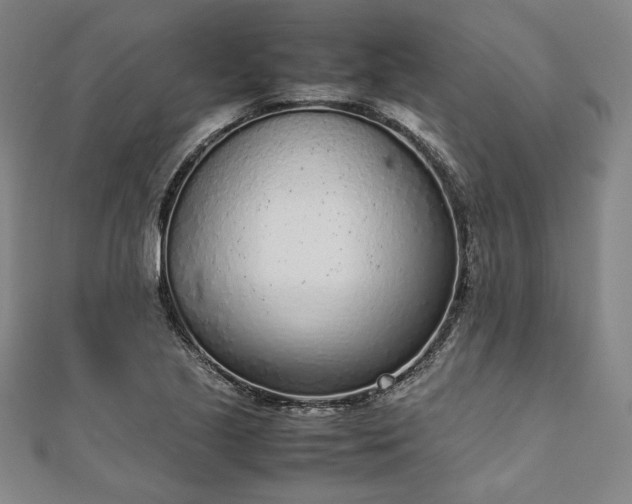 X0000111921221200908031158