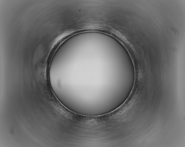 X0000111921222200908031158