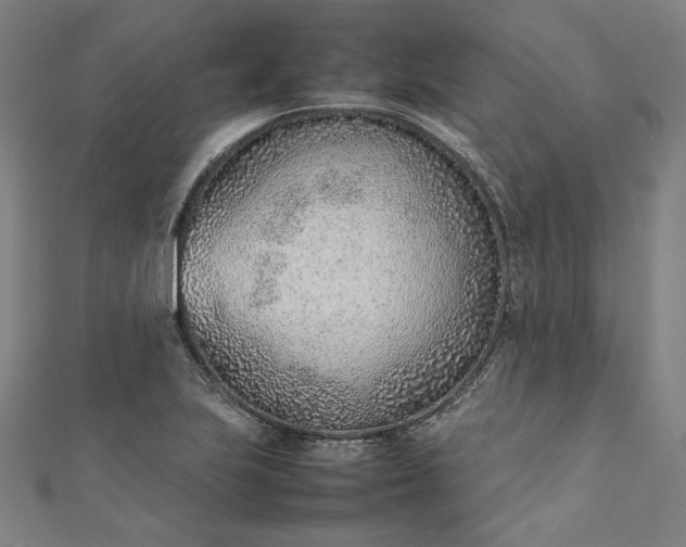 X0000111921223200908031158