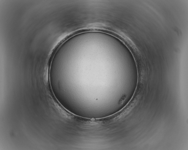 X0000111921224200908031158