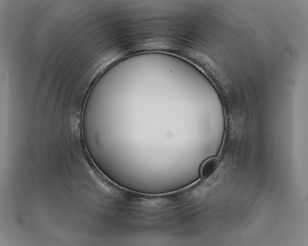 X0000111921225200908031158