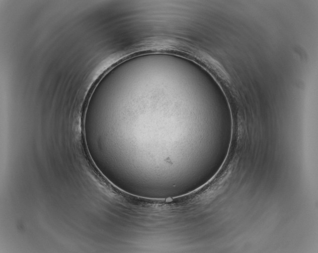 X0000111921226200908031158