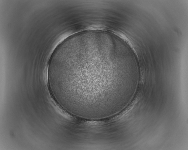 X0000111921227200908031158