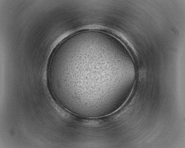 X0000111921229200908031158