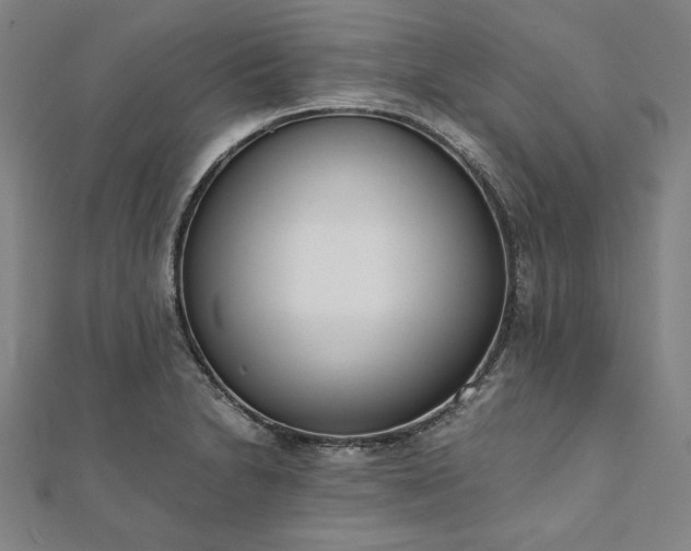 X0000111921230200908031158