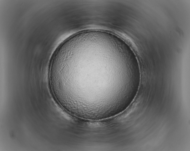 X0000111921231200908031158