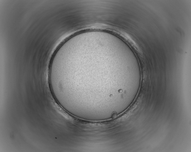 X0000111921232200908031158