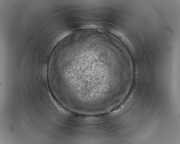 X0000111921233200908031158