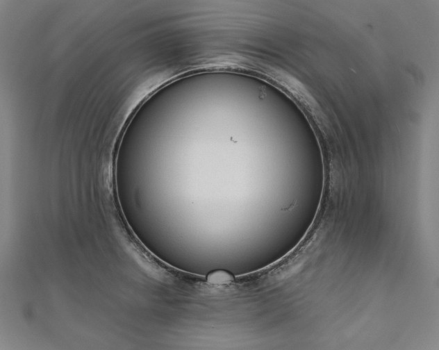 X0000111921234200908031158