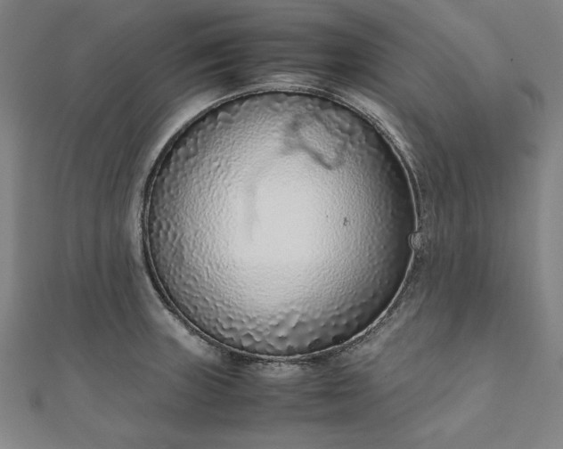 X0000111921235200908031158