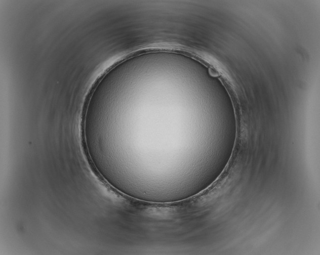 X0000111921237200908031158