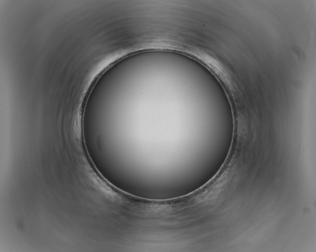 X0000111921238200908031158