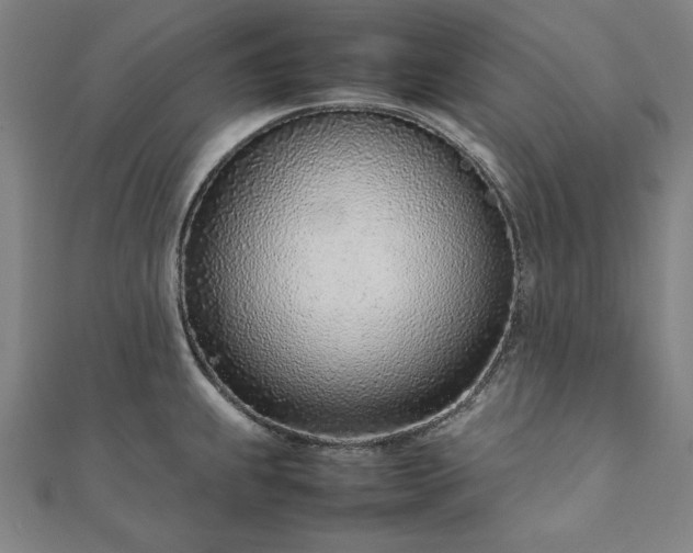 X0000111921239200908031158