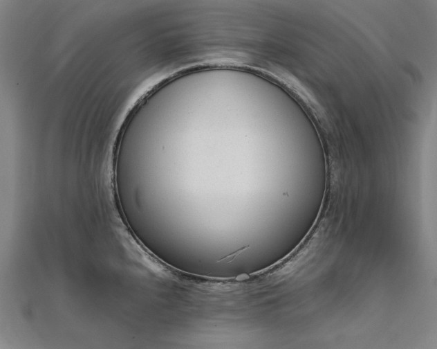 X0000111921240200908031158