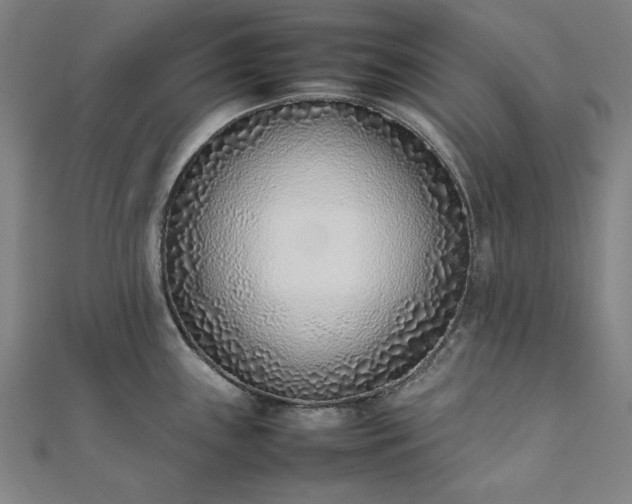 X0000111921243200908031158
