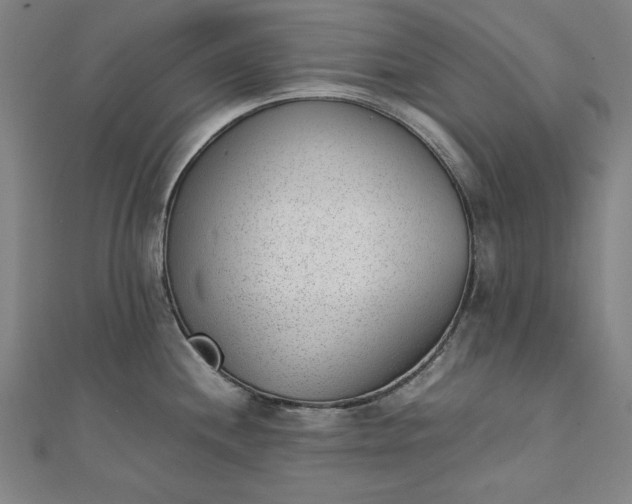 X0000111921244200908031158