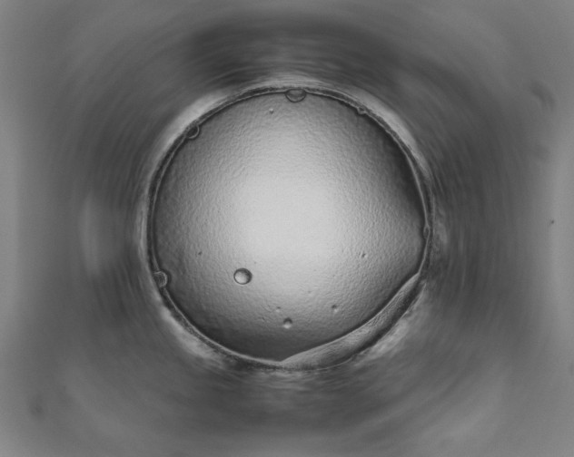X0000111921245200908031158