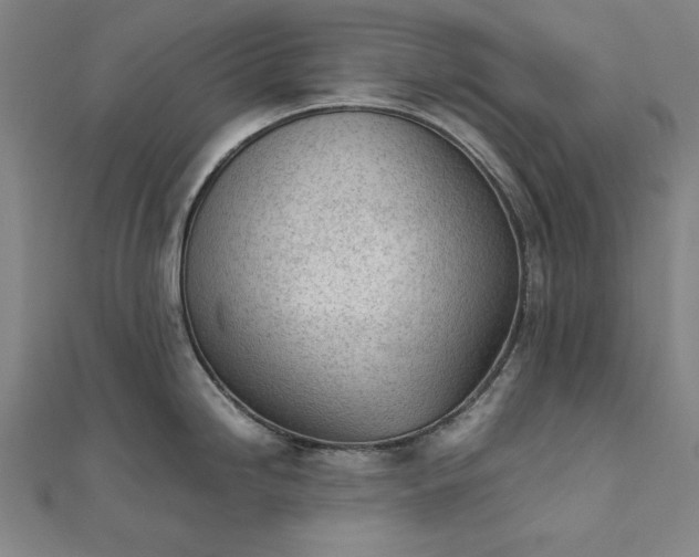 X0000111921246200908031158