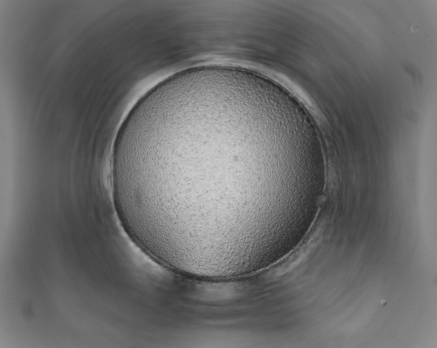 X0000111921247200908031158