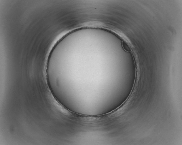 X0000111921248200908031158