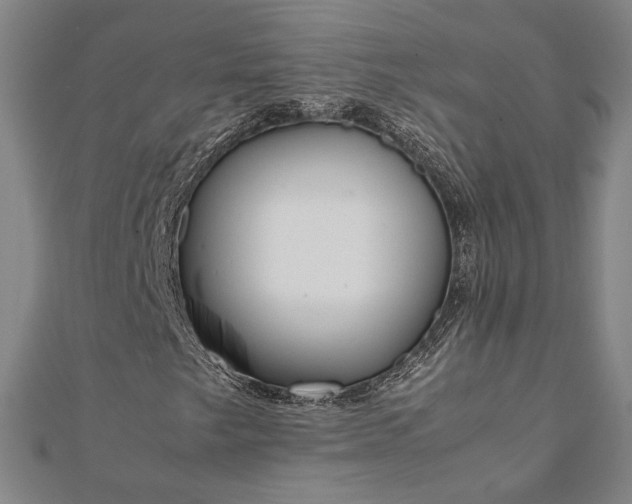 X0000111921249200908031157