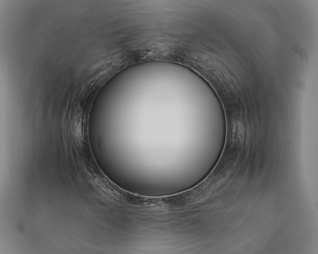 X0000111921250200908031157