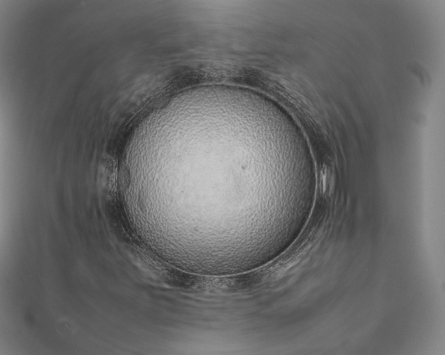 X0000111921251200908031157