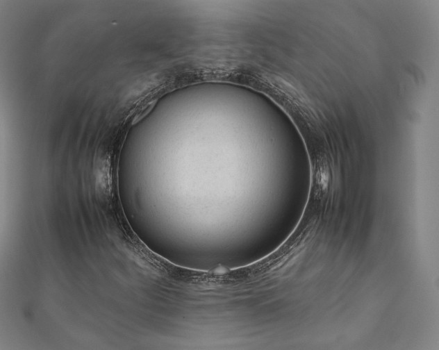 X0000111921252200908031157