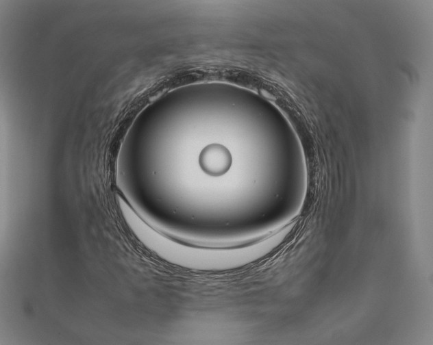 X0000111921253200908031157