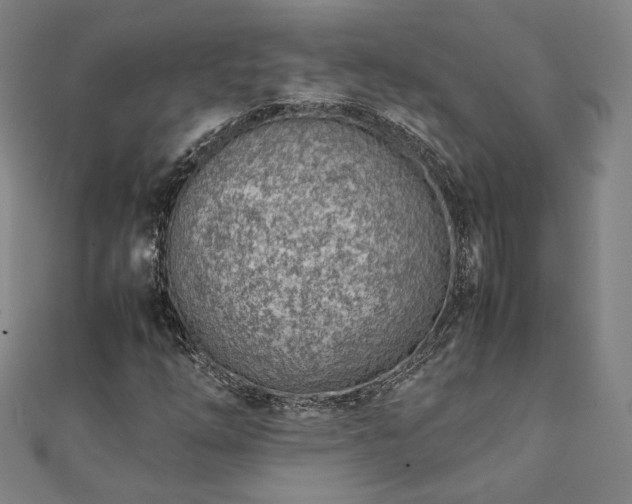 X0000111921254200908031157