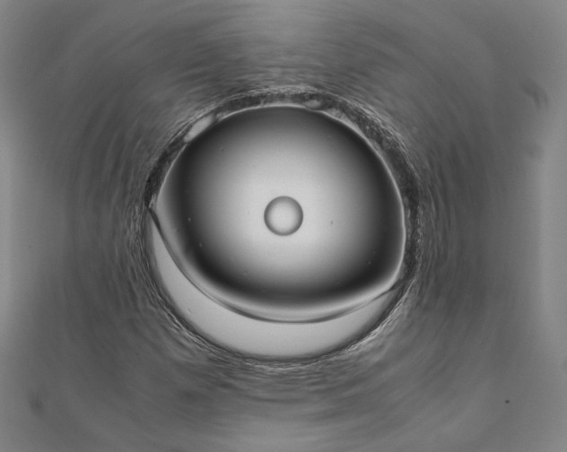 X0000111921257200908031157