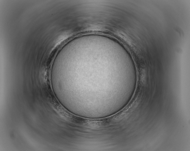 X0000111921258200908031157