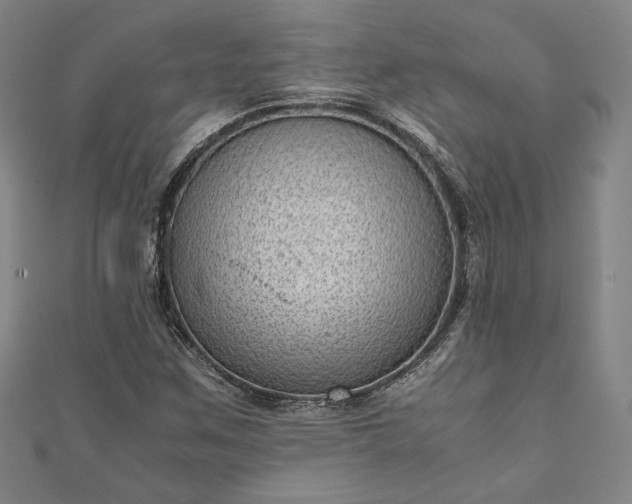 X0000111921259200908031157