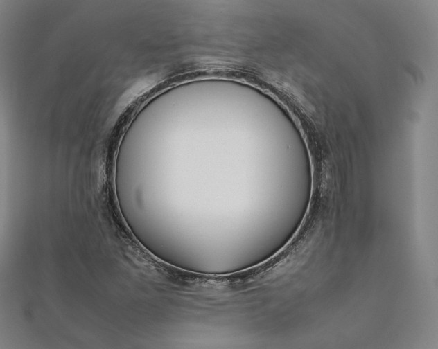 X0000111921261200908031157