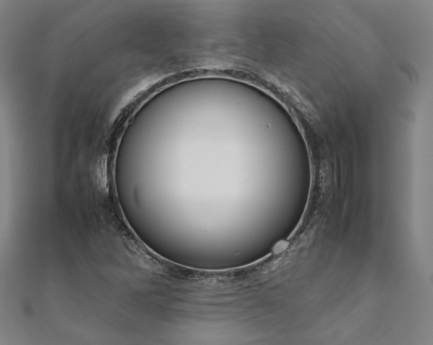 X0000111921262200908031157