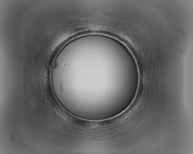 X0000111921263200908031157