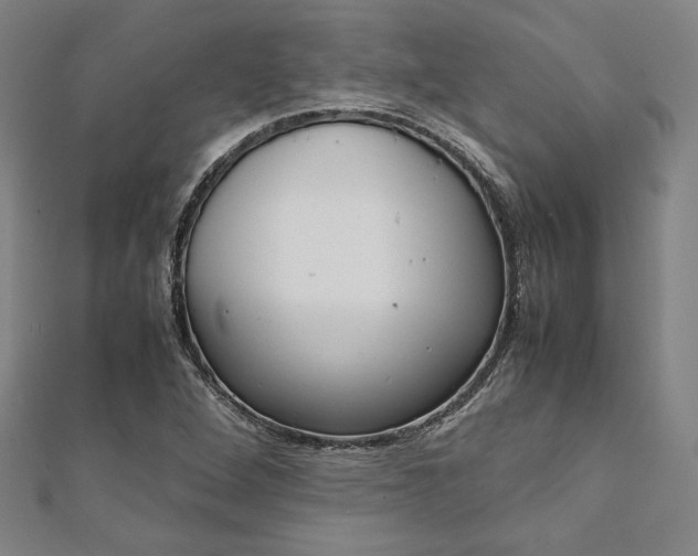 X0000111921264200908031157
