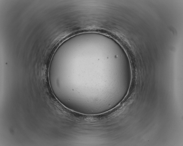 X0000111921265200908031157