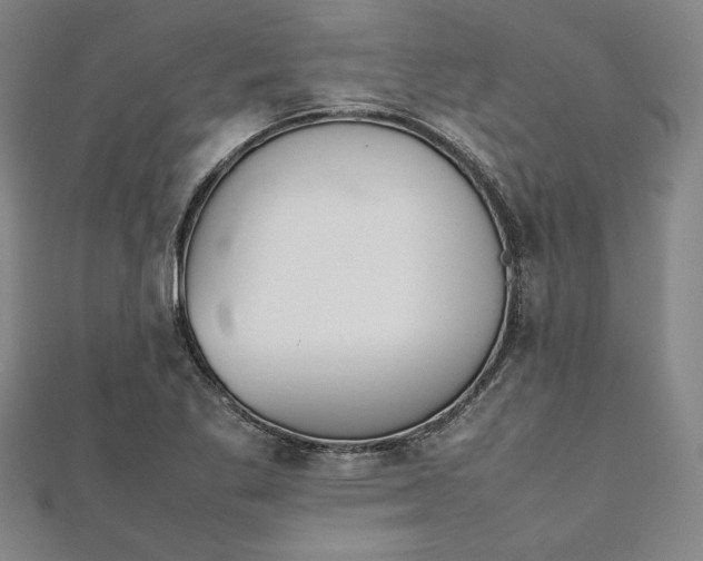 X0000111921269200908031157