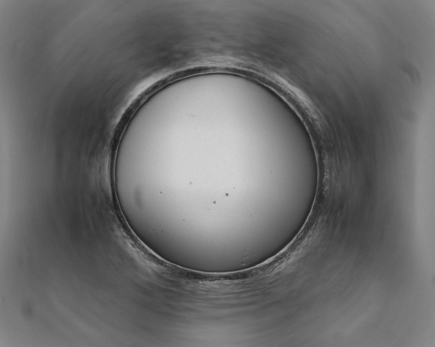 X0000111921272200908031157