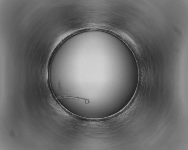 X0000111921280200908031157
