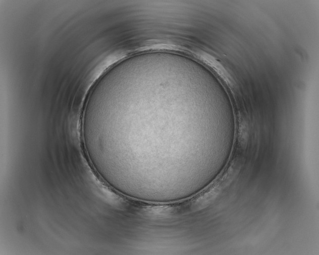 X0000111921282200908031157