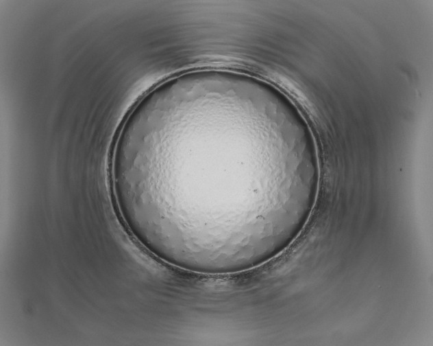 X0000111921283200908031157