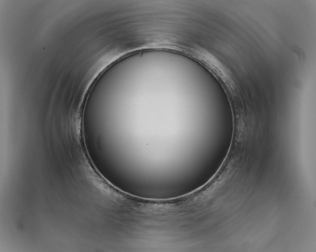 X0000111921284200908031157