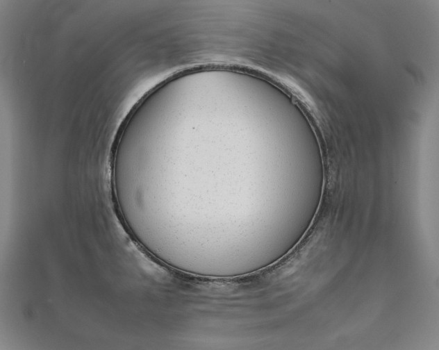 X0000111921287200908031157