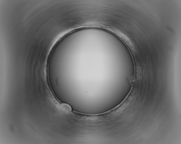 X0000111921288200908031157